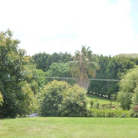 Paradise Grove Whangamata Kültér fotó