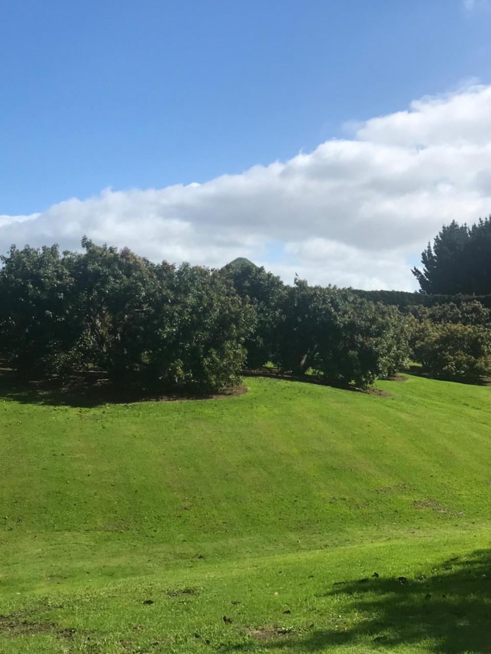 Paradise Grove Whangamata Kültér fotó