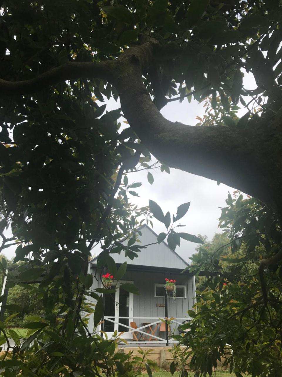 Paradise Grove Whangamata Kültér fotó
