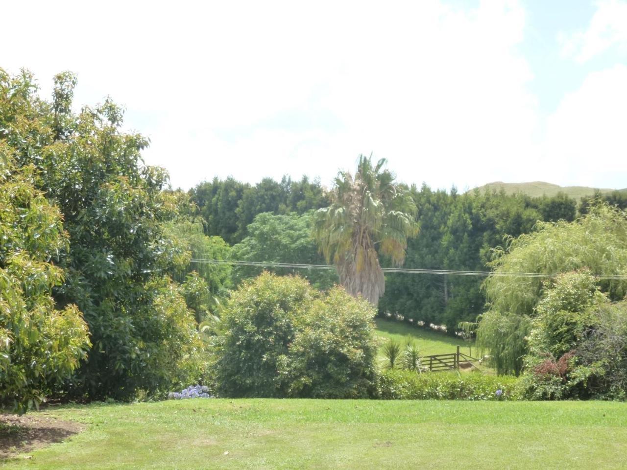 Paradise Grove Whangamata Kültér fotó